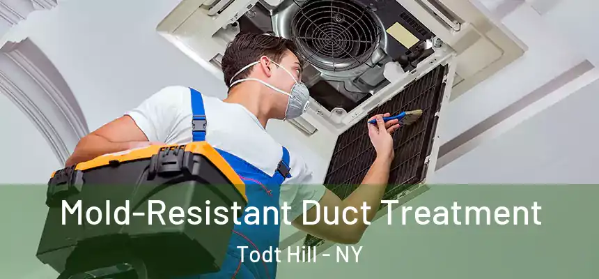 Mold-Resistant Duct Treatment Todt Hill - NY