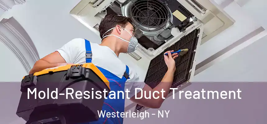 Mold-Resistant Duct Treatment Westerleigh - NY