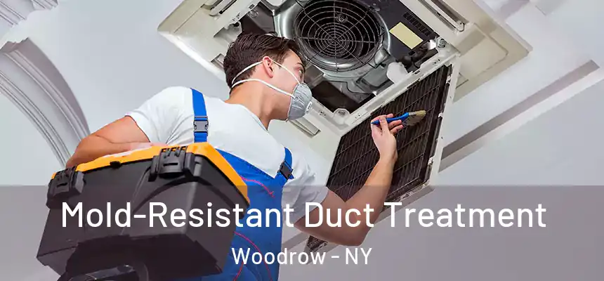  Mold-Resistant Duct Treatment Woodrow - NY