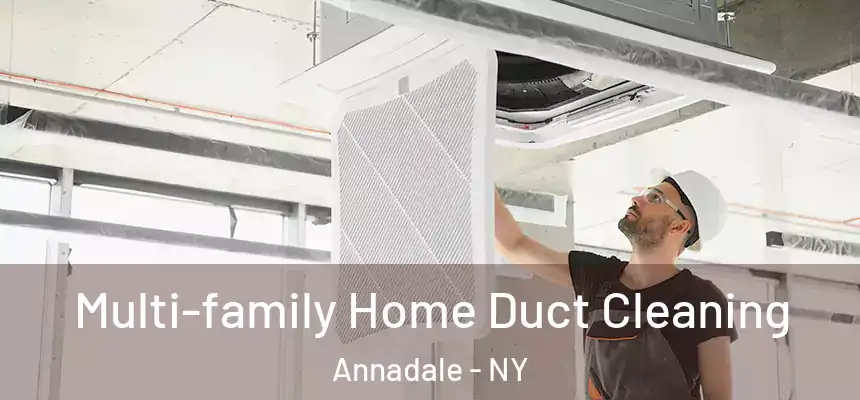 Multi-family Home Duct Cleaning Annadale - NY