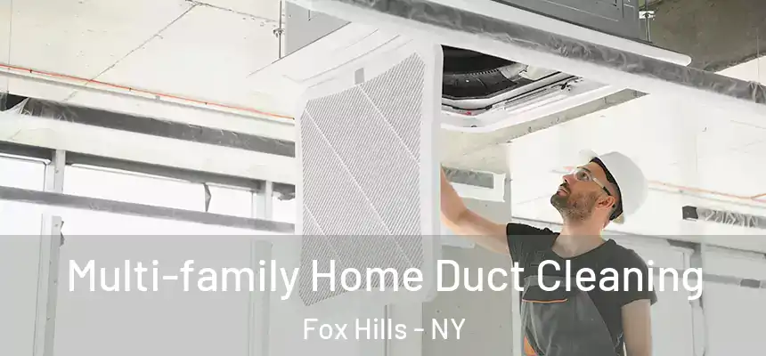 Multi-family Home Duct Cleaning Fox Hills - NY