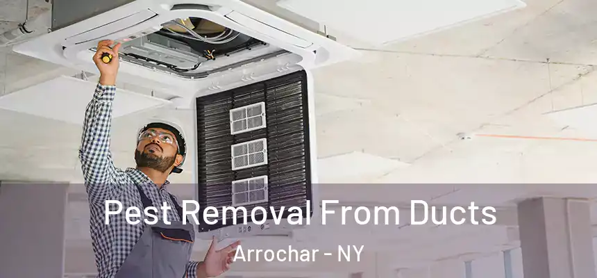 Pest Removal From Ducts Arrochar - NY