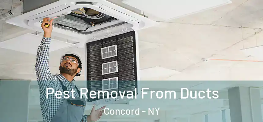  Pest Removal From Ducts Concord - NY