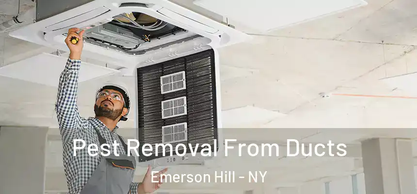 Pest Removal From Ducts Emerson Hill - NY