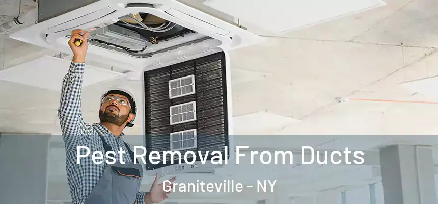 Pest Removal From Ducts Graniteville - NY