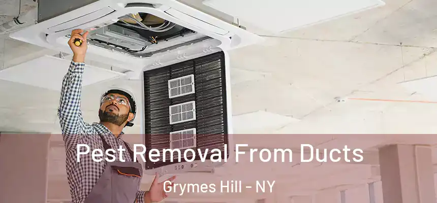 Pest Removal From Ducts Grymes Hill - NY