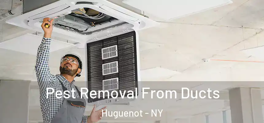 Pest Removal From Ducts Huguenot - NY