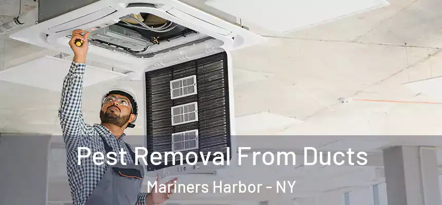 Pest Removal From Ducts Mariners Harbor - NY