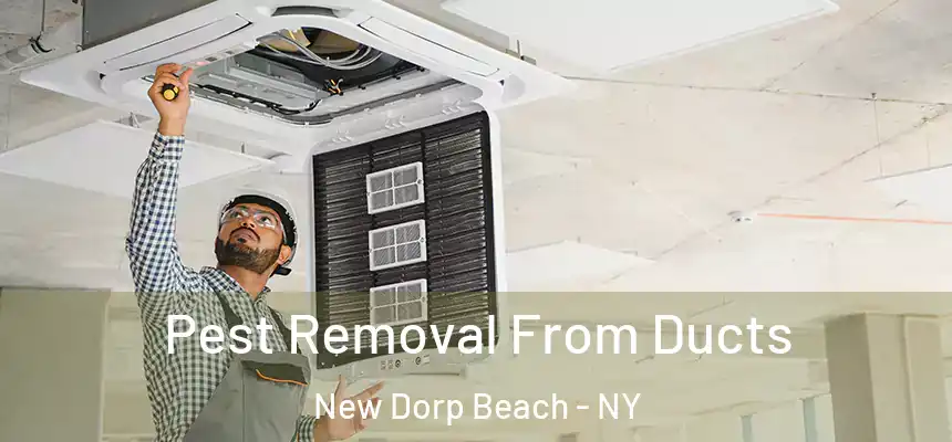  Pest Removal From Ducts New Dorp Beach - NY