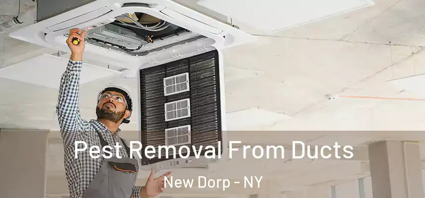 Pest Removal From Ducts New Dorp - NY