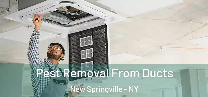 Pest Removal From Ducts New Springville - NY