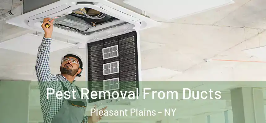  Pest Removal From Ducts Pleasant Plains - NY