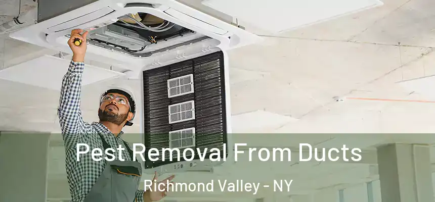 Pest Removal From Ducts Richmond Valley - NY