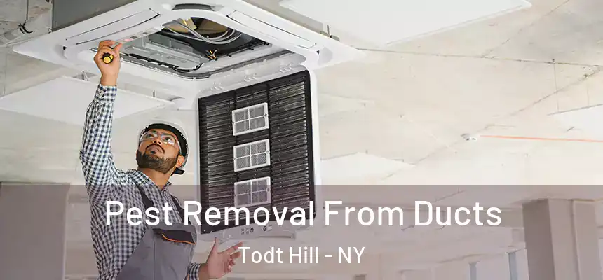 Pest Removal From Ducts Todt Hill - NY