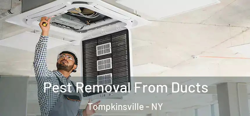 Pest Removal From Ducts Tompkinsville - NY