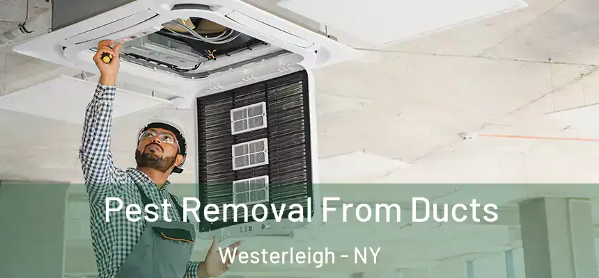 Pest Removal From Ducts Westerleigh - NY