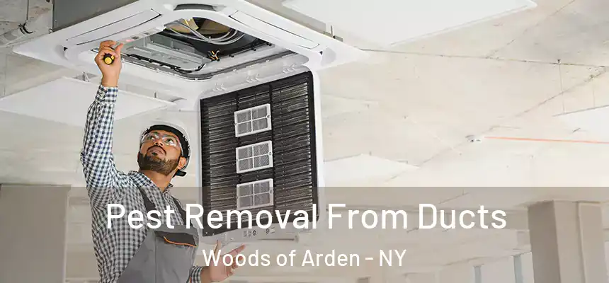 Pest Removal From Ducts Woods of Arden - NY