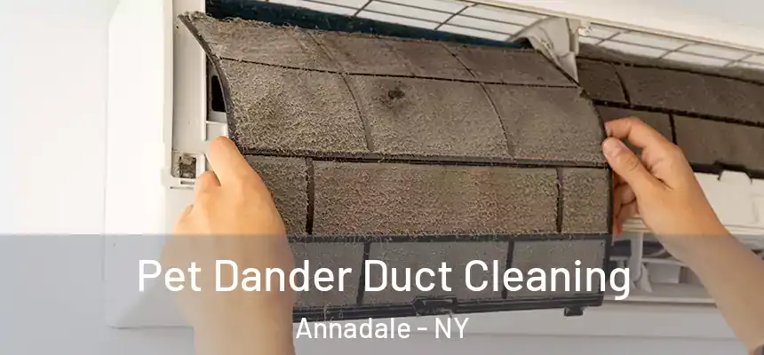Pet Dander Duct Cleaning Annadale - NY