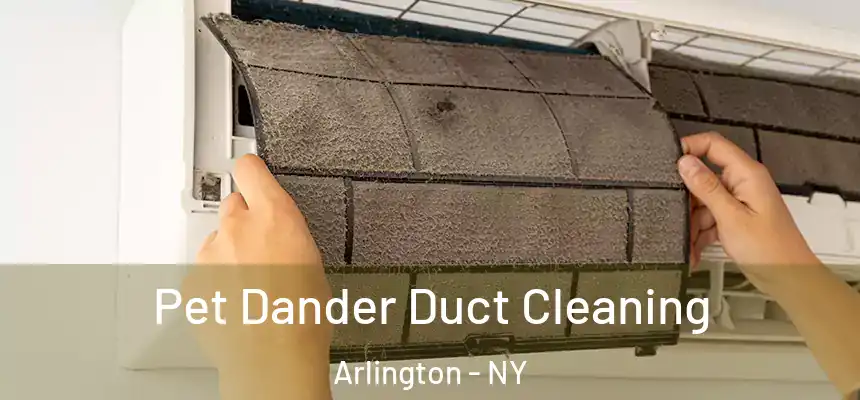 Pet Dander Duct Cleaning Arlington - NY