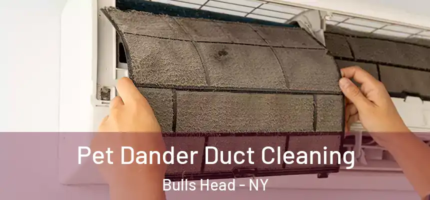 Pet Dander Duct Cleaning Bulls Head - NY