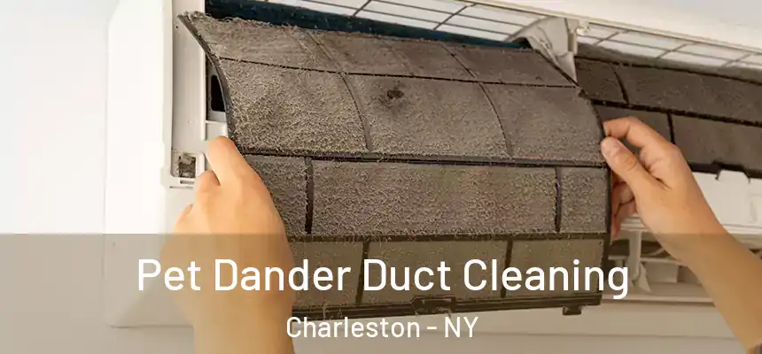 Pet Dander Duct Cleaning Charleston - NY