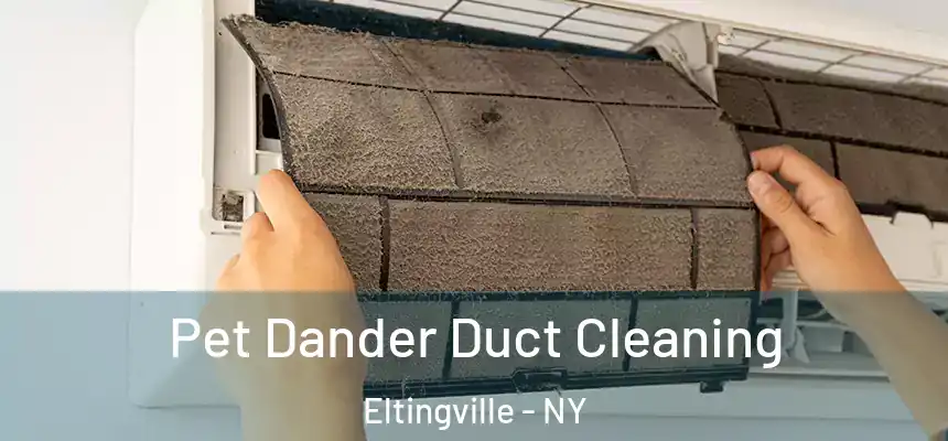 Pet Dander Duct Cleaning Eltingville - NY
