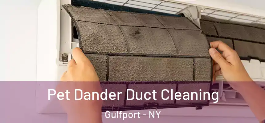 Pet Dander Duct Cleaning Gulfport - NY