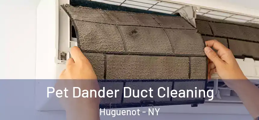 Pet Dander Duct Cleaning Huguenot - NY