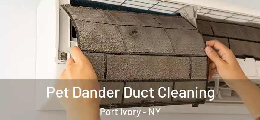 Pet Dander Duct Cleaning Port Ivory - NY