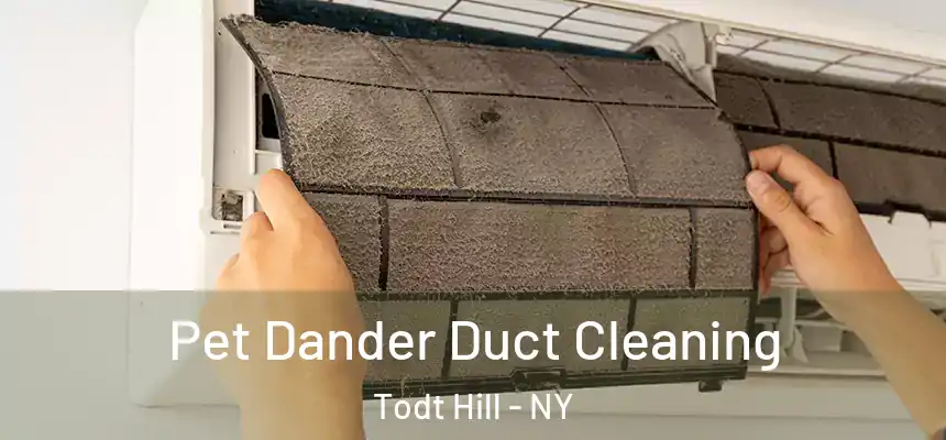 Pet Dander Duct Cleaning Todt Hill - NY