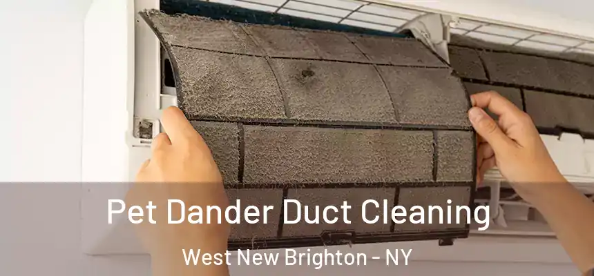  Pet Dander Duct Cleaning West New Brighton - NY