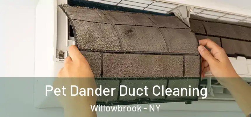 Pet Dander Duct Cleaning Willowbrook - NY
