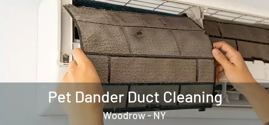 Pet Dander Duct Cleaning Woodrow - NY