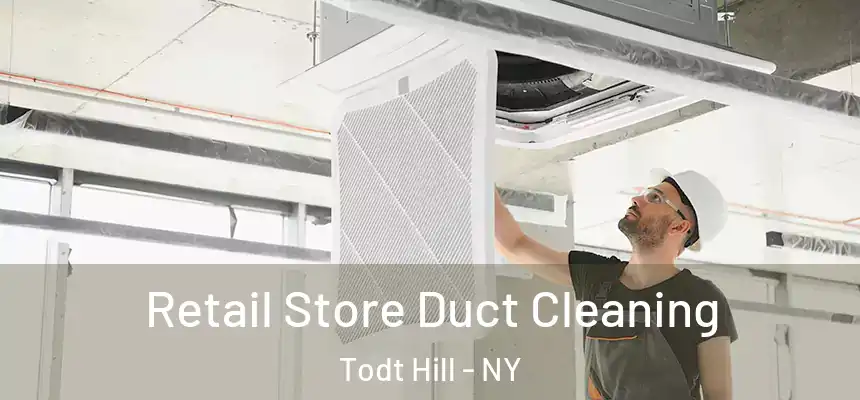  Retail Store Duct Cleaning Todt Hill - NY
