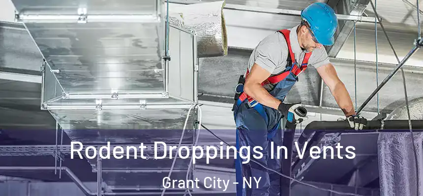  Rodent Droppings In Vents Grant City - NY