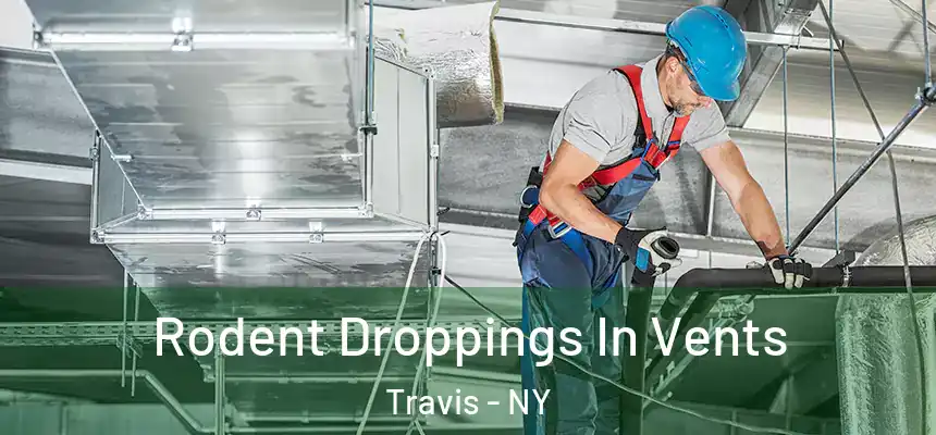 Rodent Droppings In Vents Travis - NY