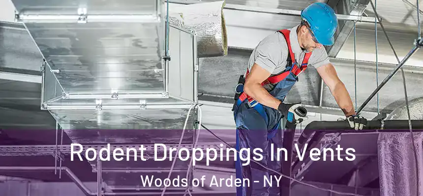 Rodent Droppings In Vents Woods of Arden - NY