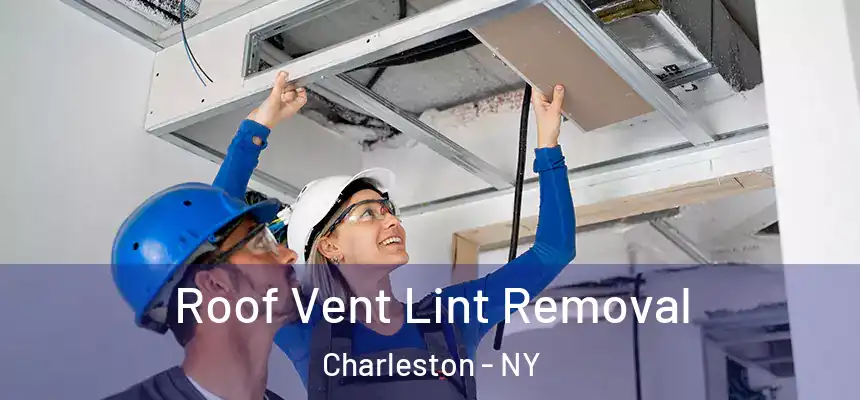 Roof Vent Lint Removal Charleston - NY
