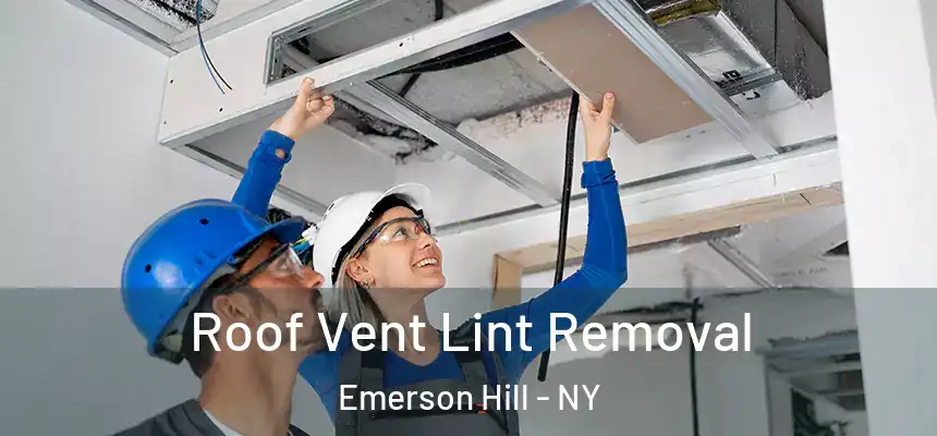 Roof Vent Lint Removal Emerson Hill - NY