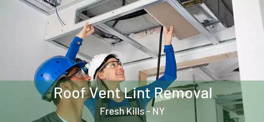Roof Vent Lint Removal Fresh Kills - NY