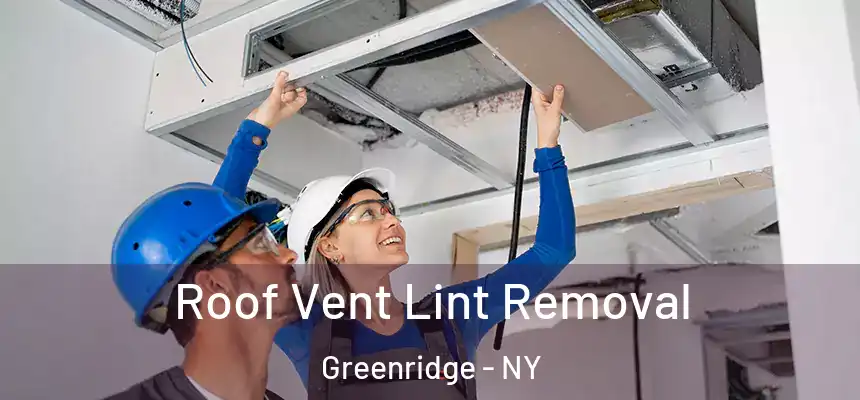 Roof Vent Lint Removal Greenridge - NY