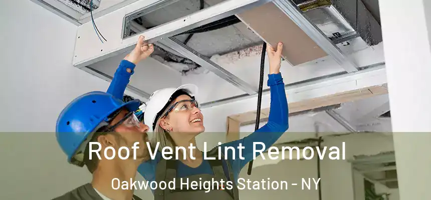 Roof Vent Lint Removal Oakwood Heights Station - NY