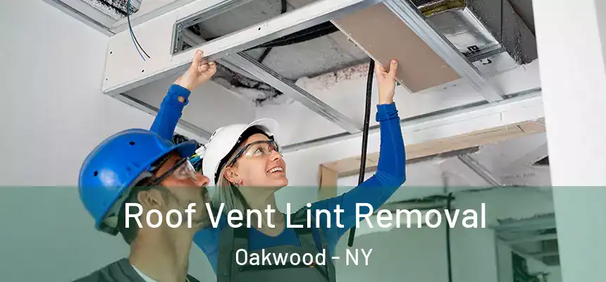 Roof Vent Lint Removal Oakwood - NY