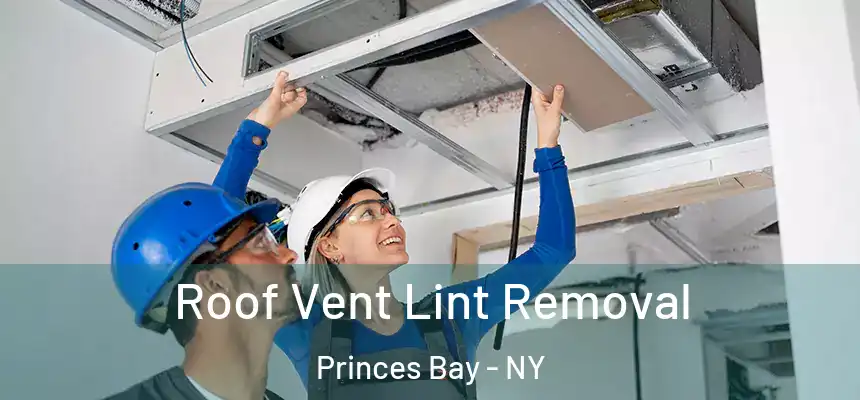  Roof Vent Lint Removal Princes Bay - NY