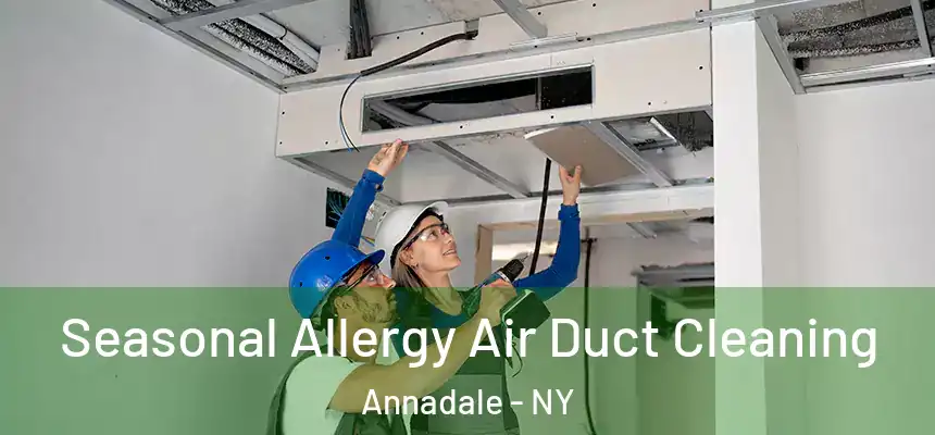  Seasonal Allergy Air Duct Cleaning Annadale - NY