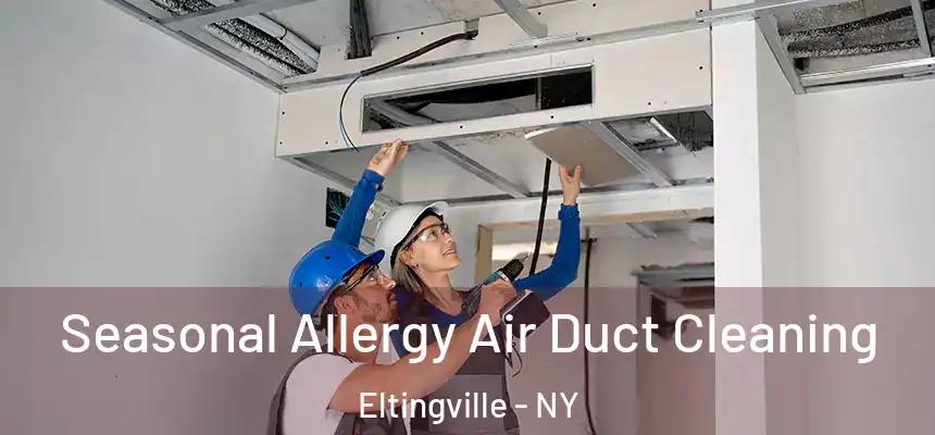 Seasonal Allergy Air Duct Cleaning Eltingville - NY