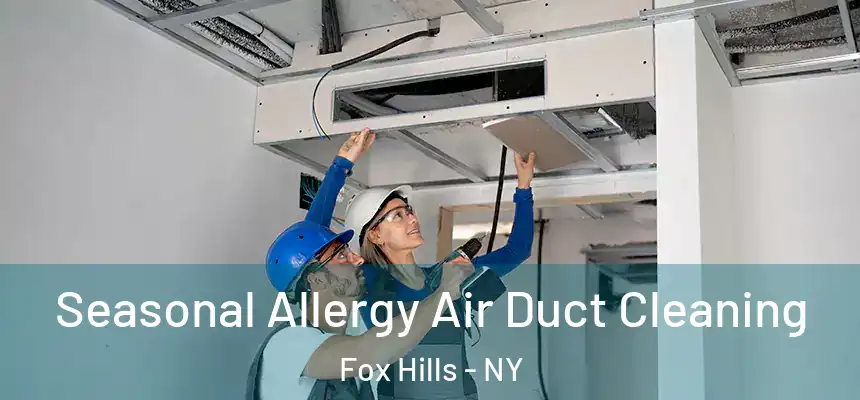  Seasonal Allergy Air Duct Cleaning Fox Hills - NY