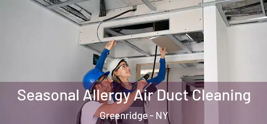 Seasonal Allergy Air Duct Cleaning Greenridge - NY