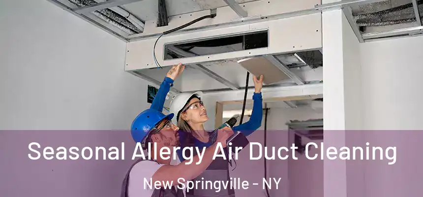 Seasonal Allergy Air Duct Cleaning New Springville - NY