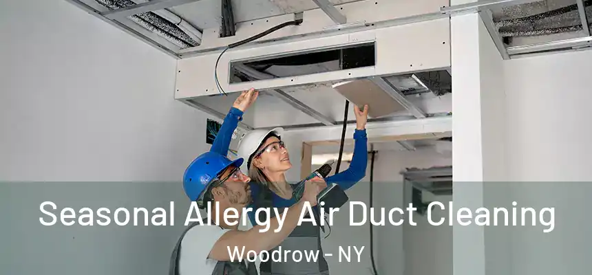  Seasonal Allergy Air Duct Cleaning Woodrow - NY